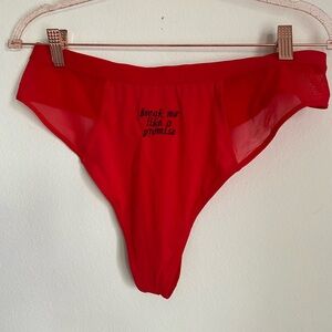 all too well taylor swift embroidered red mesh thong plus size